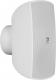 Kolumna Audac ATEO6D/W 60 W 1