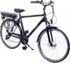 Amigo E-Active 28 Cal 56 cm Męski 7SP Hamulce szczękowe Matowa czerń 1