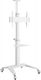 Techly Stojak podłogowy ICA-TR48W 37'' - 70'' 1