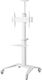 Techly Stojak podłogowy ICA-TR48W 37'' - 70'' 2