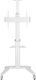 Techly Stojak podłogowy ICA-TR48W 37'' - 70'' 1