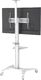 Techly Stojak podłogowy ICA-TR48W 37'' - 70'' 4