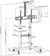 Techly Stojak podłogowy ICA-TR36 60'' - 100'' 2