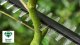 Bosch Nożyce akumulatorowe Universal HedgePole 18 Solo 43 cm (06008B3001) 7