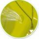 Smoby Piaskownica Motylek 2w1 168x111,5 cm (310143) 2