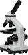 Mikroskop Opticon Mikroskop OPTICON BIOLIFE 4