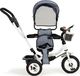 Ecotoys Rowerek Trójkołowy Obracany Szary 1