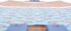 Deskorolka Tempish Longboard Tempish Nautical C 2021 5