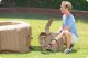 SPA ogrodowe Intex PureSpa Bubble Therapy 196 cm x 71 cm (28426) 3