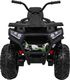 Ramiz Pojazd Quad ATV Desert Moro 2