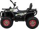 Ramiz Pojazd Quad ATV Desert Moro 3