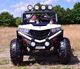 Import SUPER-TOYS MEGA AUTO BUGGY SPORTS 4X4 , METALOWE AMORTYZATORY, FUNKCJA BUJANIA, PODŚWIETLANA MASKA. LICZNIKI, FULL OPCJA /CL908 8