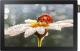 Monitor Samsung DB10E (LH10DBEPEBB/EN) 1