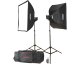 Zestaw studyjny GODOX Godox MS300-F Studio-Kit studio flash unit kit 2 x 300Ws 1