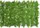 vidaXL Parawan balkonowy, zielone liście, 500x75 cm 3