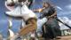 Soul Calibur V Xbox 360 1