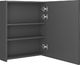 vidaXL Szafka łazienkowa z lustrem i LED, szara, 50x14x60 cm 5