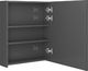 vidaXL Szafka łazienkowa z lustrem i LED, lśniąca szarość, 50x14x60 cm 5