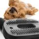 Odkurzacz Concept 4A Pet Expert Radical VP5240 3