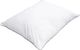 Shumee Zestaw 2 poduszek bawełniany 50 x 60 cm DIRAN 3