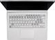 Laptop Microsoft Laptop Microsoft Surface Book 1703 i5-6300U 8 GB 240 SSD 13,5" 3000x2000 (DOTYK) W10Pro A- 6