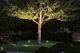 Paulmann Outdoor Plug & Shine Flood Spot 15,5W IP65 3000K 1