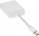 Adapter AV InLine DisplayPort Mini - DVI-D biały (17194I) 2