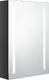 vidaXL Szafka górna z lustrem i LED 50cm czarna połysk (326496) 1
