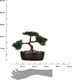 Atmosphera Drzewko bonsai w czarnej doniczce 23 cm 3