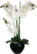 Atmosphera Orchidea w czarnej doniczce 53 cm 1