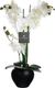 Atmosphera Orchidea w czarnej doniczce 53 cm 2