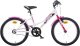 Aurelia Vaikiškas dviratis Aurelia 420D Sport 20", baltas 1