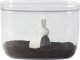 Qualy Pojemnik do przechowywania Bella Bunny biały 7L 10323-CL-WH 1