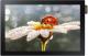 Monitor Samsung DB10E-T 1