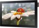 Monitor Samsung DB10E-T 4