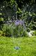 Garden King Zraszacz metalowy Aqua Jet 8w1 2