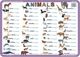 Visual System Podkładka ćwiczeniowa - Animals 1