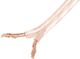 Przewód Lanberg Kabel głośnikowy 2x1.5mm2 25m 1