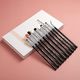 Eigshow Beauty Zestaw 10 pędzli Eye Brush Kit Light Silver 4
