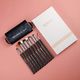 Eigshow Beauty Zestaw 10 pędzli Eye Brush Kit Light Silver 8