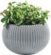 Keter Doniczka COZIES KNIT - szary 1