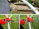 Trampolina ogrodowa SkyFlyer TR0028 z siatką zewnętrzną 8 FT 244 cm 4