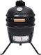 vidaXL Grill ogrodowy węglowy z wędzarnią ruszt 26.5 cm czarny 1