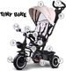 Tiny Bike Rowerek trójkołowy 3w1 z daszkiem (SP0650) 3