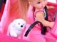 Anlily Anlily Lalka Kiki Love z pieskiem w aucie ZA2805 4