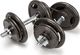 Abarqs ‎‎Hantle HKS-20 żeliwne 2 x 10 kg 2