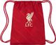 Nike Worek na buty Nike LFC Stadium GMSK - FA21 czerwony DD1507 687 2