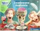 Clementoni Zestaw Edukacyjny Anatomia 1