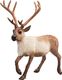 Figurka Small Foot Animal Planet - Renifer (387186) 1