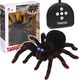 NoboKids Pająk Tarantula Zdalnie Sterowany LED + Pilot R/C 1